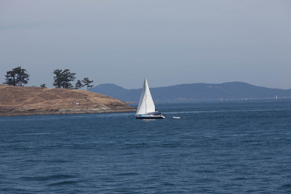 Photo of A day in Victoria, Canada 7/9 by AK Sandhu