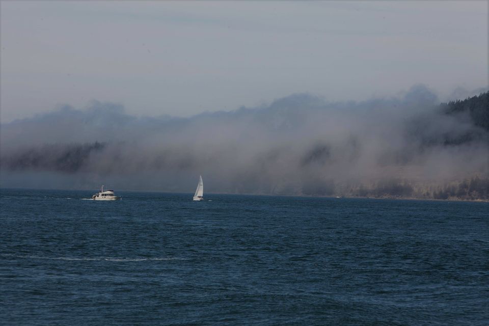 Photo of A day in Victoria, Canada 8/9 by AK Sandhu