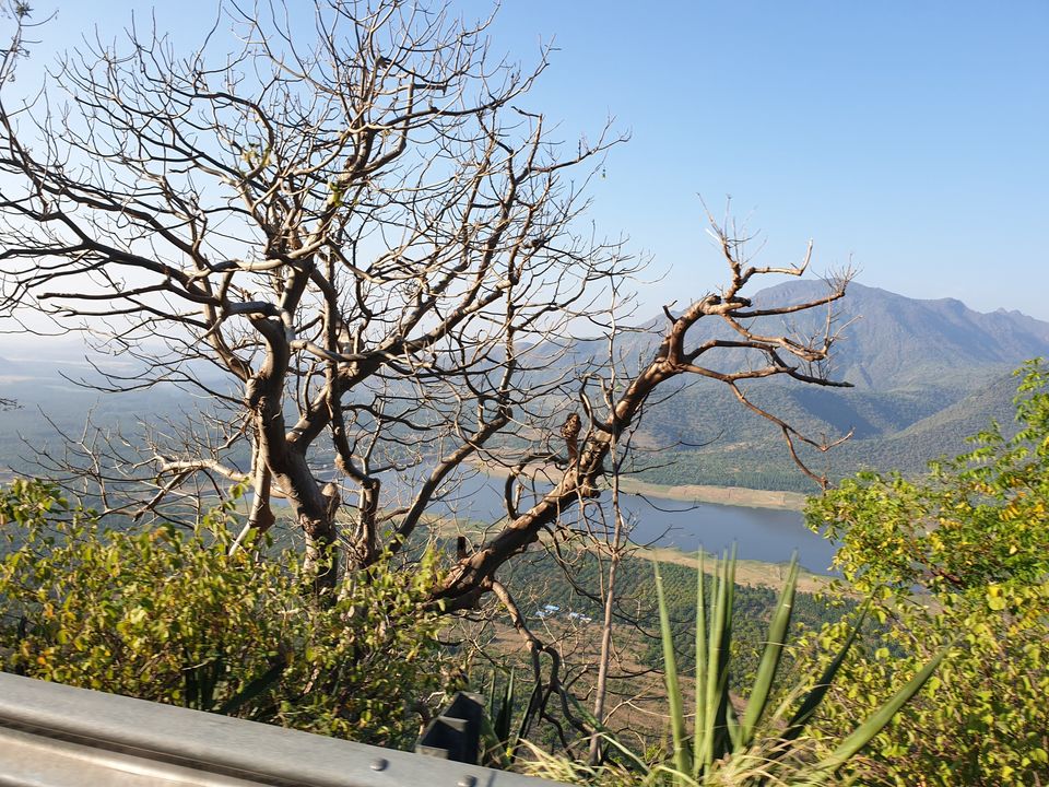 Photo of Kodaikanal, Tamil Nadu, India by Abi Vignesh
