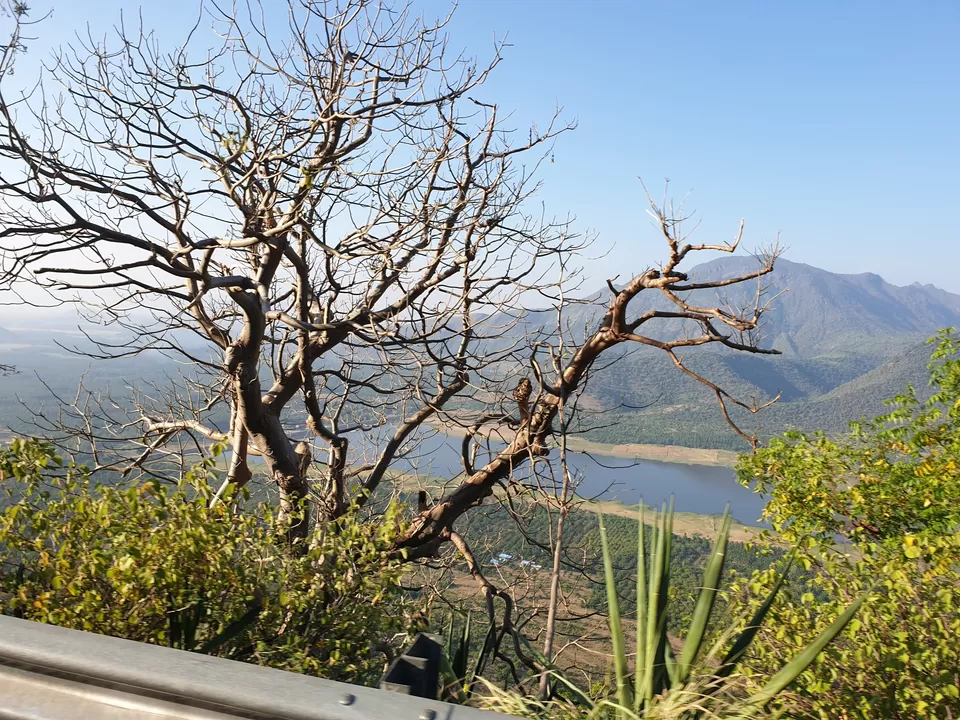 Photo of Kodaikanal, Tamil Nadu, India by Abi Vignesh
