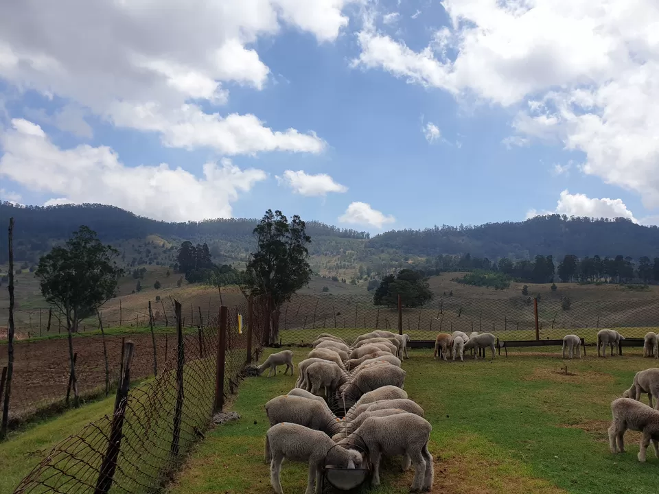 Photo of A 3-day leisure getaway to Kodaikanal from Chennai by Abi Vignesh