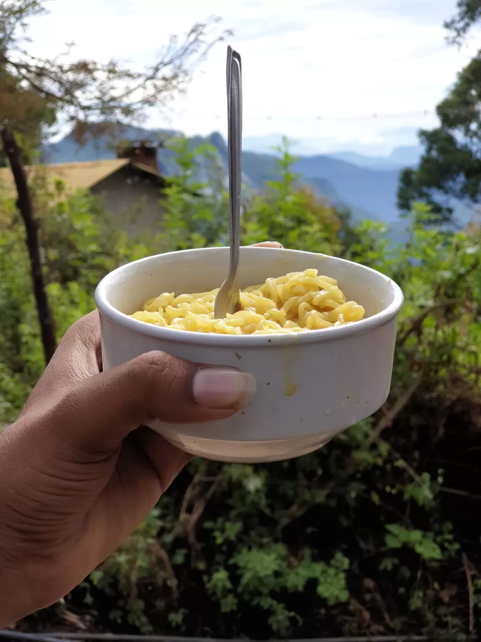 Photo of Vattakanal, Kodaikanal, Tamil Nadu, India by Abi Vignesh