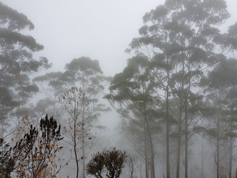 Photo of A 3-day leisure getaway to Kodaikanal from Chennai by Abi Vignesh
