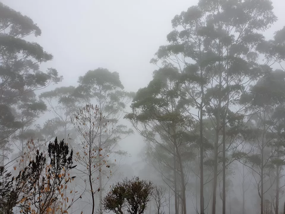 Photo of A 3-day leisure getaway to Kodaikanal from Chennai by Abi Vignesh