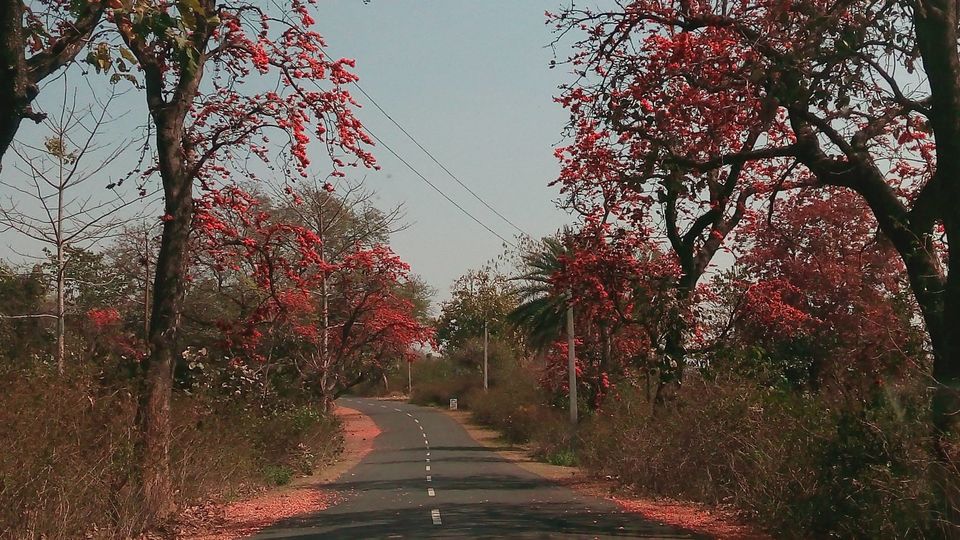 Photo of Trip to Bishnupur and Jhilimili by Mustak Ali