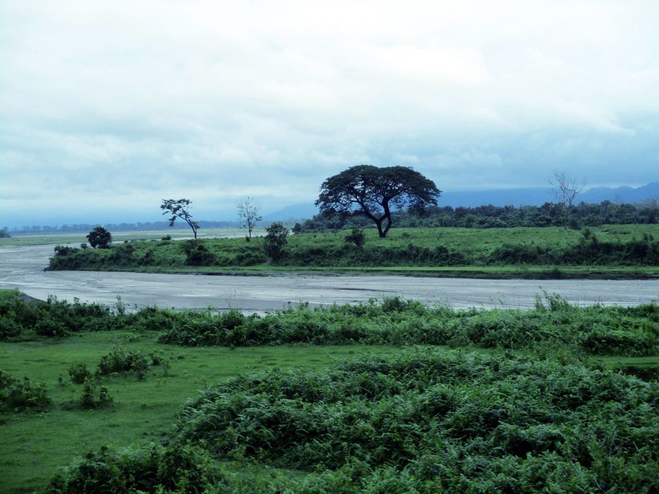 Photo of Alipurduar, West Bengal, India by Mustak Ali