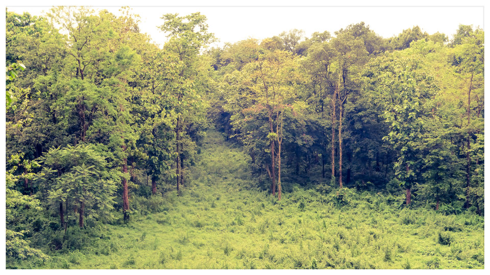 Photo of Alipurduar, West Bengal, India by Mustak Ali