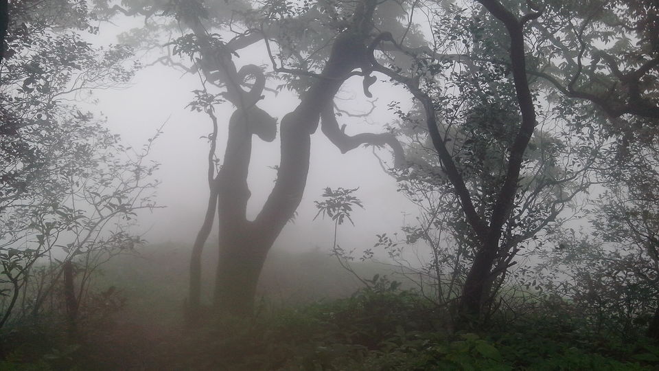 Photo of Through the foggy trails of Matheran 13/18 by Nathan Fichardo