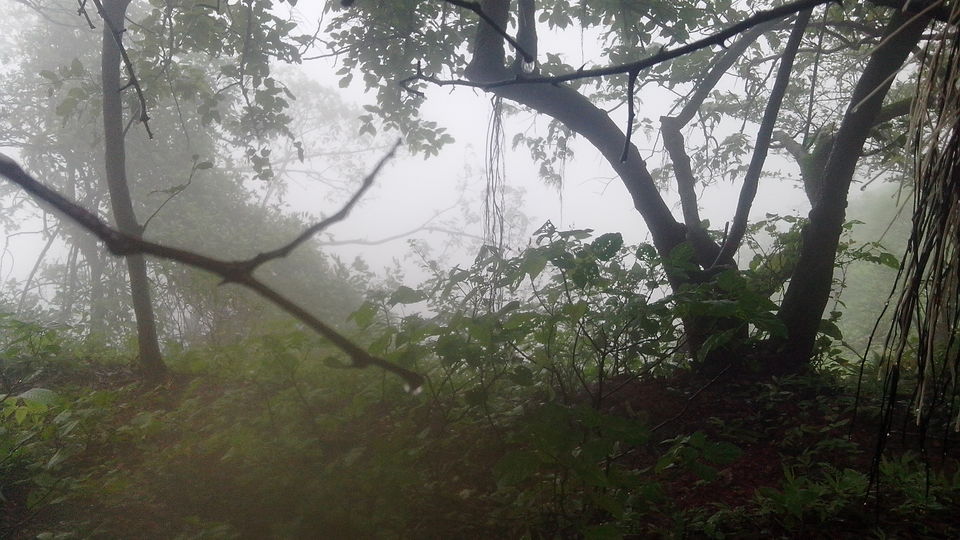Photo of Through the foggy trails of Matheran 14/18 by Nathan Fichardo