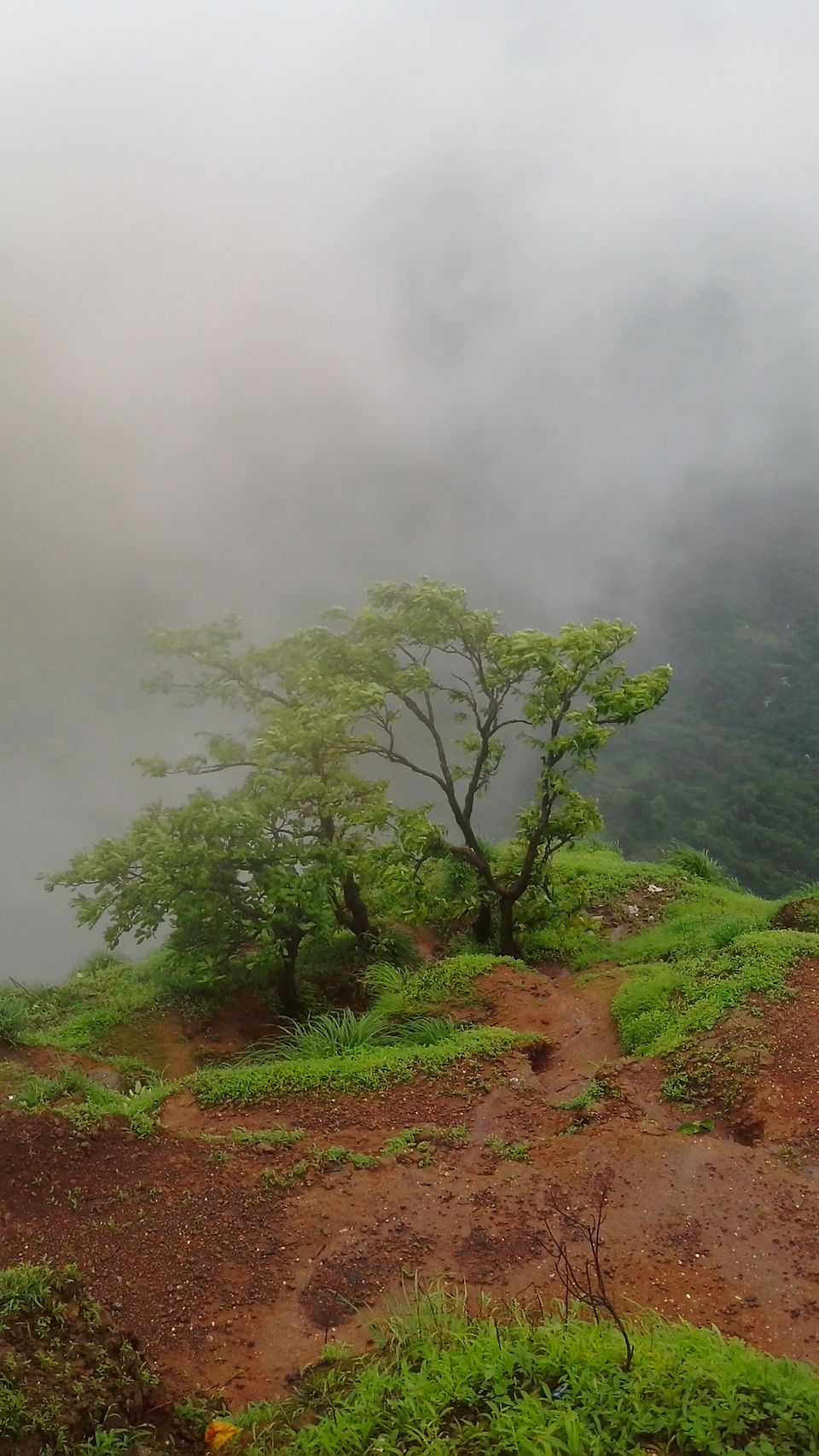 Photo of Through the foggy trails of Matheran 15/18 by Nathan Fichardo
