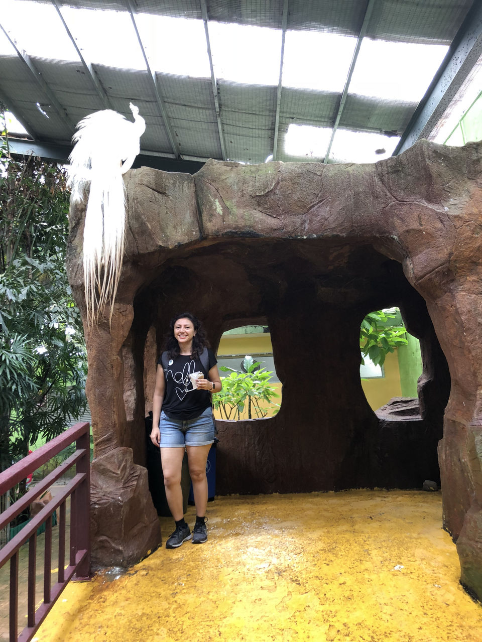 Photo of Langkawi Wildlife Park, Jalan Ayer Hangat, Kampung Belanga Pechah, Langkawi, Kedah, Malaysia by Ravishing_rambles