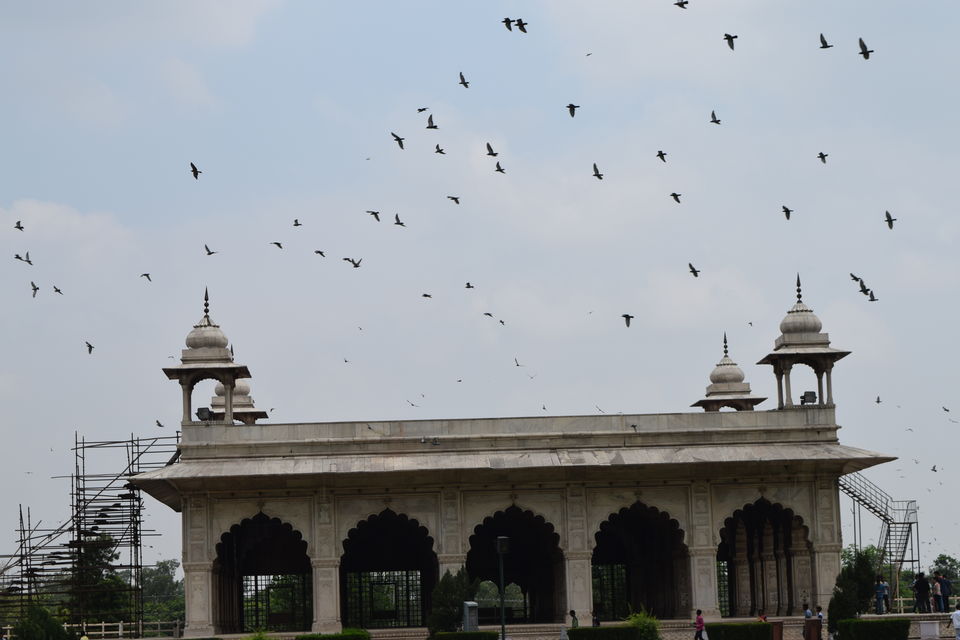 Photo of Delhi in a day 4/4 by Manghala Priyah