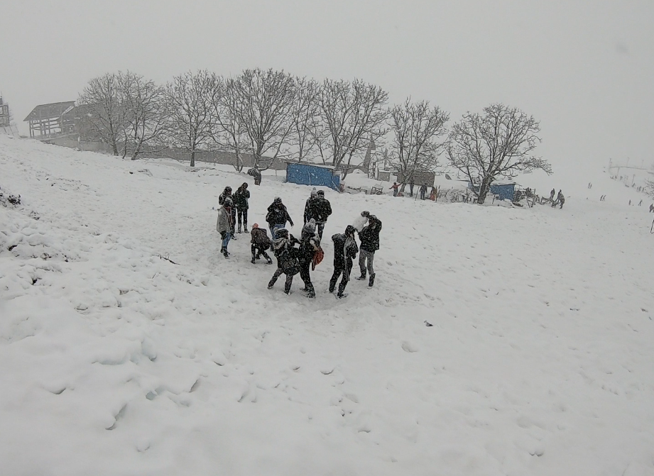 Photo of Auli - Winter wonderland of India. by Sapna Singh