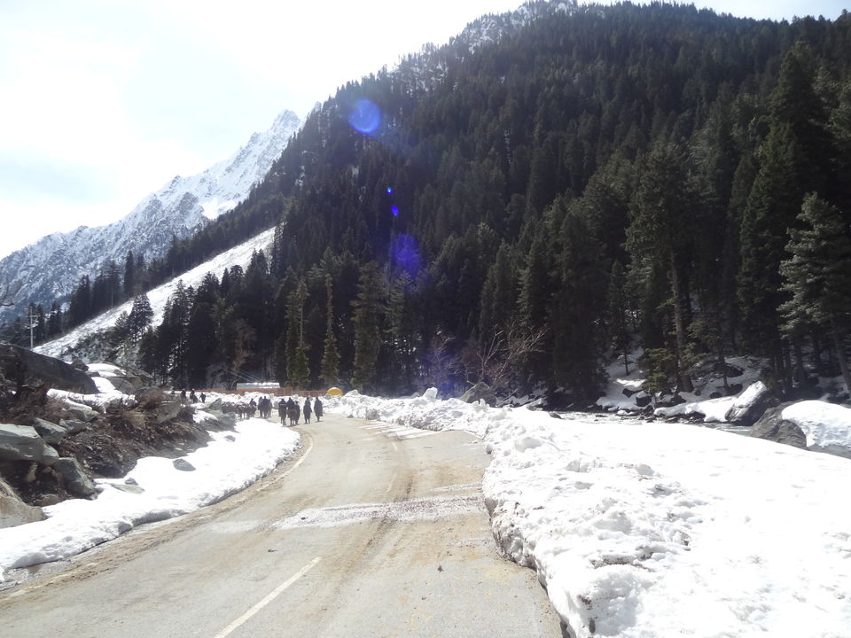 Photo of Kashmir: A Trip to Paradise 7/12 by Saloni Bhatia