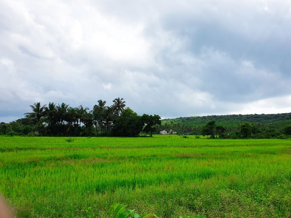 Photo of Chapora Fort, Chapora Fort Road, Chapora, Goa, India by Suman Prabha
