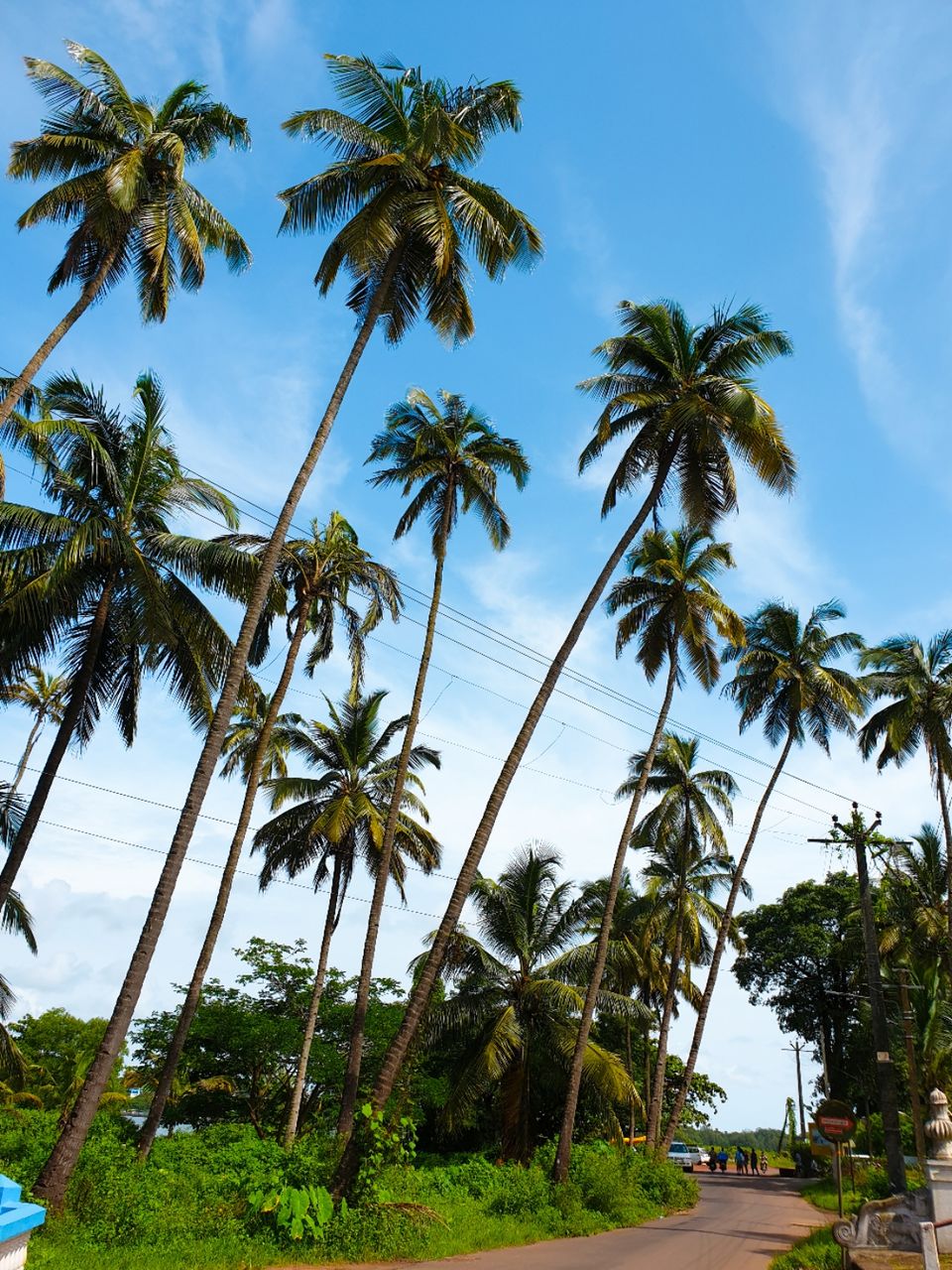 Photo of Chapora Fort, Chapora Fort Road, Chapora, Goa, India by Suman Prabha