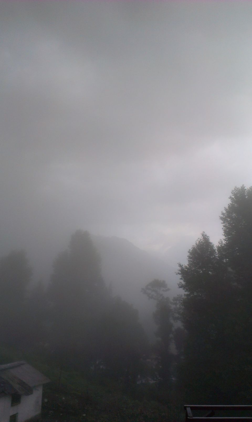 Photo of I was in Munsiyari by ABHINAV GODARA