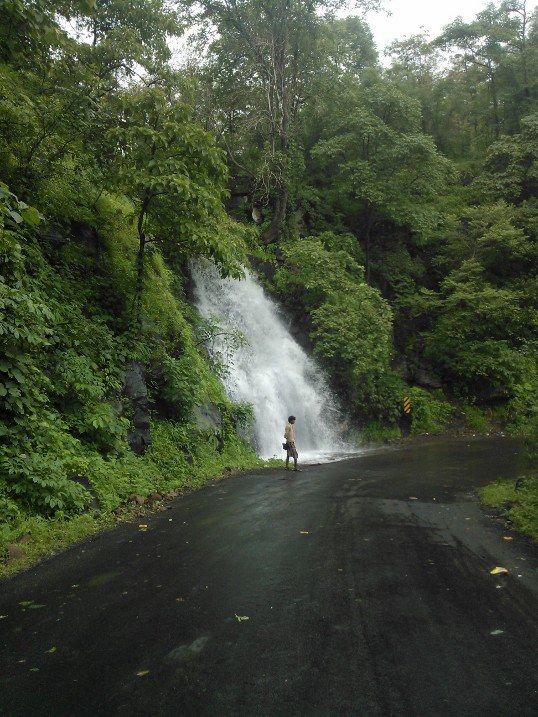 Photo of Dancing in the Dangs by Malav Naik