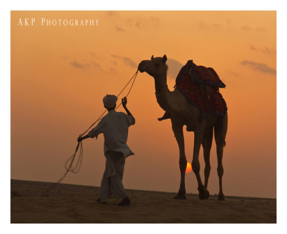 Photo of Jaisalmer, Rajasthan, India by The Wandering Chubbies