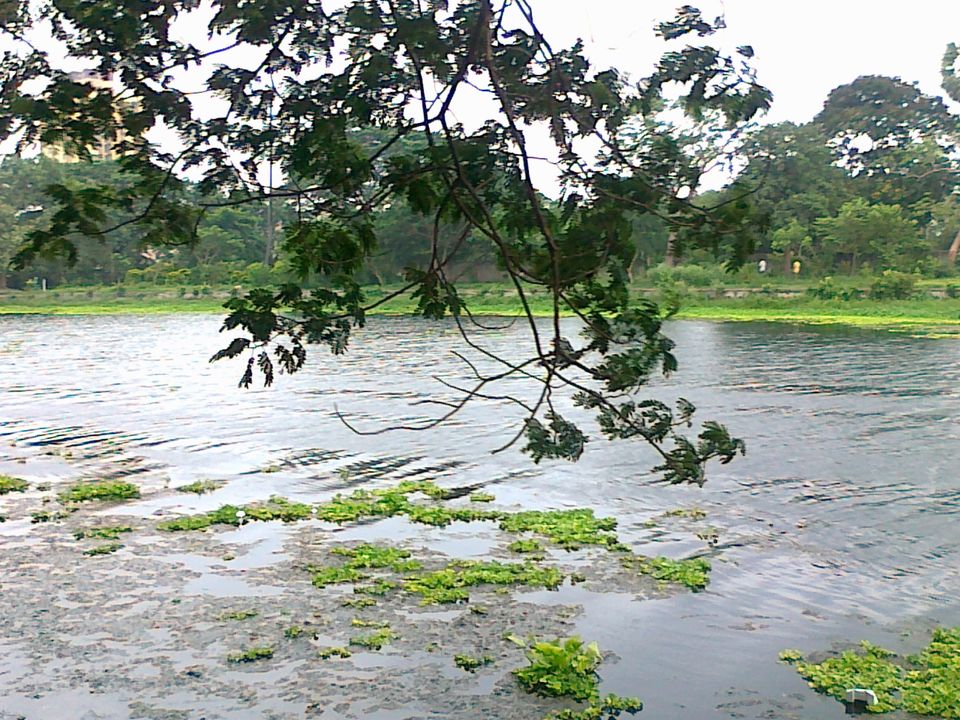 Photo of Calcutta Memoirs! 2/13 by Riyanka Roy