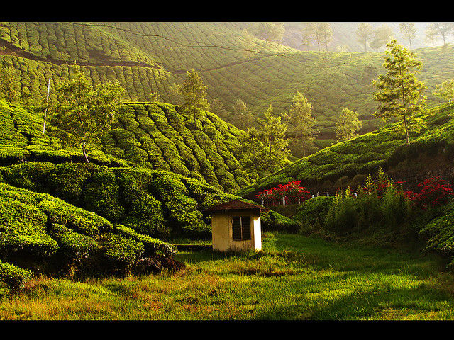 Photo of Top 11 Places In India That Foreigners Are Craziest About Visiting by Gunjan Upreti