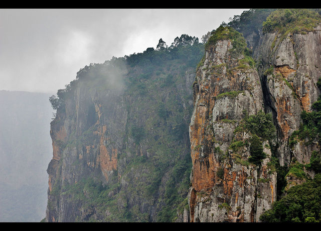 Photo of Kodaikanal, Tamil Nadu, India by Gunjan Upreti