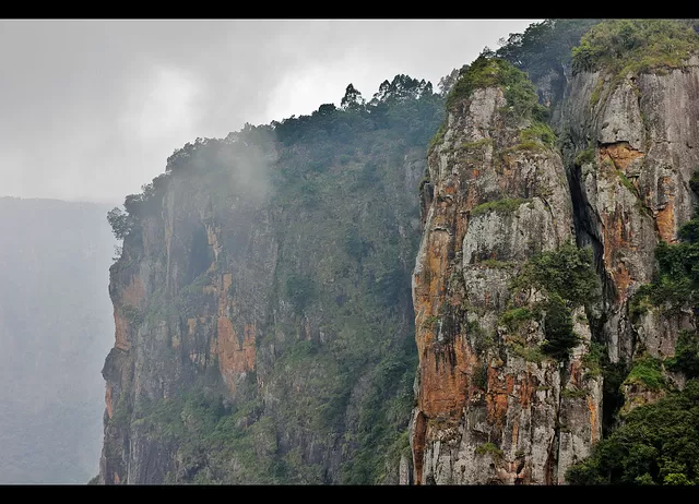 Photo of Kodaikanal, Tamil Nadu, India by Gunjan Upreti
