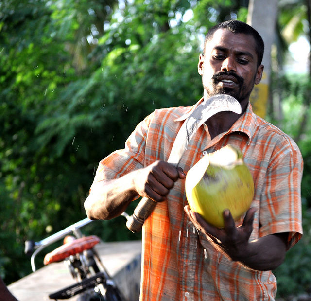 Photo of 11 Reasons Why South India Will Ruin You For Life. 13/13 by Gunjan Upreti