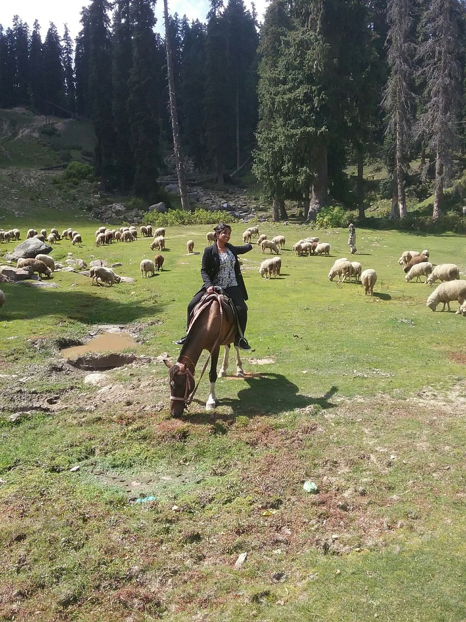 Photo of Green Meadows – Gulmarg (continuation of Kashmir part 1) 4/8 by Ghumakad Geetika