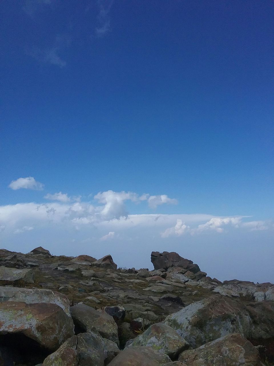 Photo of Green Meadows – Gulmarg (continuation of Kashmir part 1) 5/8 by Ghumakad Geetika