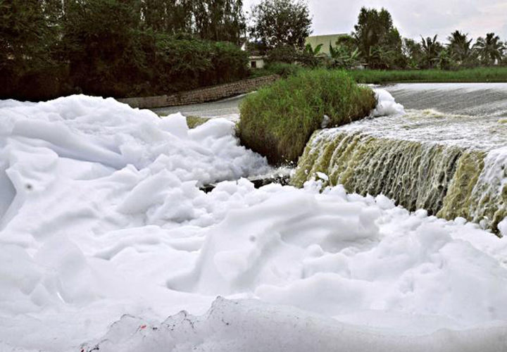 Photo of Bengaluru Lake is So Polluted It Caught Fire 1/4 by Sreshti Verma