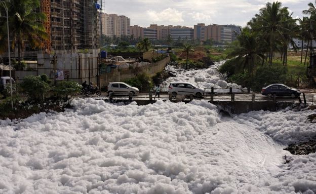 Photo of Bengaluru Lake is So Polluted It Caught Fire 2/4 by Sreshti Verma