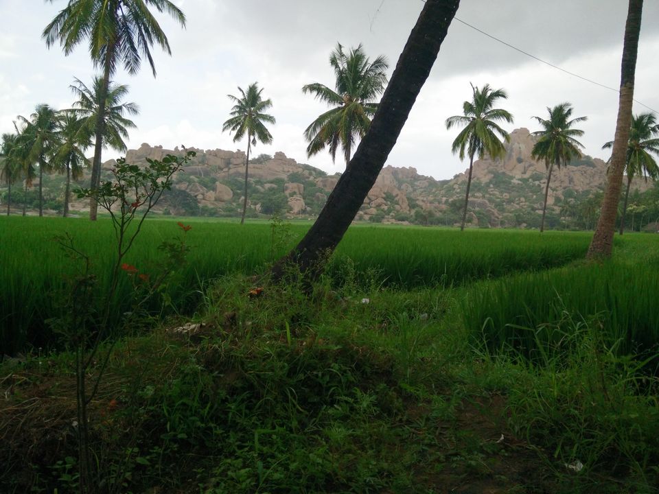 Photo of Don't Worry, Be Hampi ! 71/85 by Yashasvi Girdhar