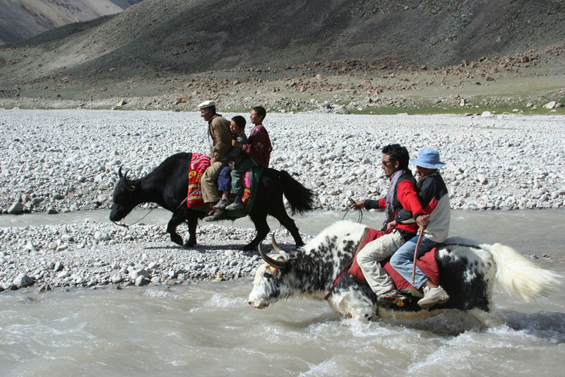 Photo of Adventure tourism in Sikkim: The New Found Hotspot of India 4/7 by Sagnik Basu