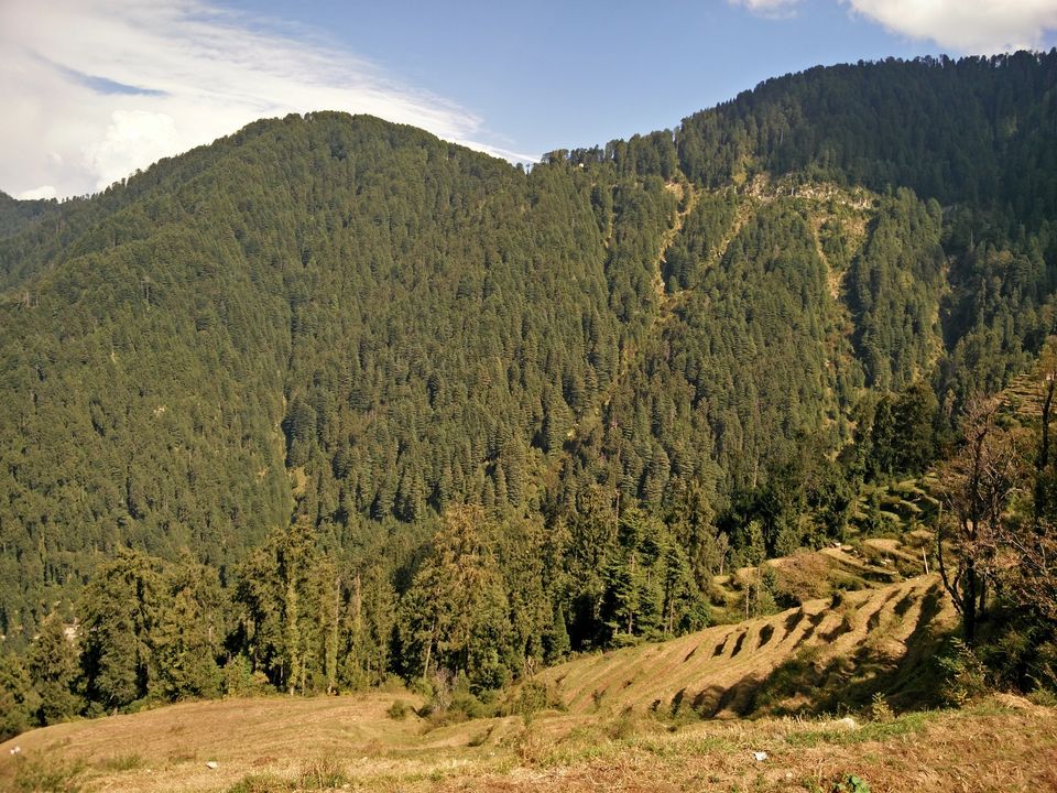 Photo of First solo trip to Dalhousie, Mcleodganj and Manali 24/103 by Vikas Singh