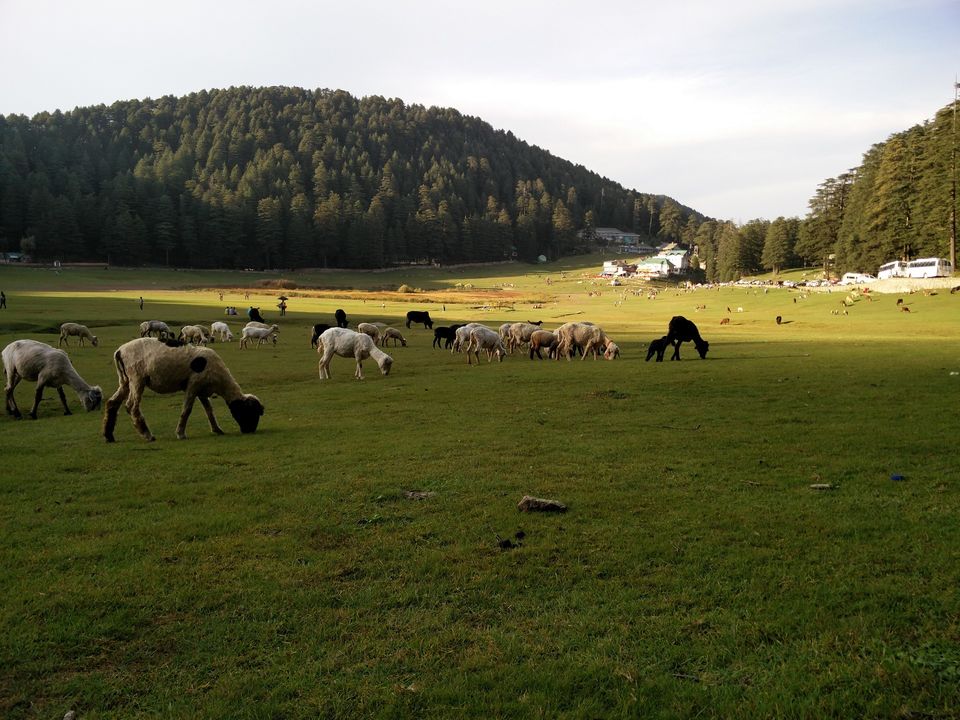Photo of First solo trip to Dalhousie, Mcleodganj and Manali 34/103 by Vikas Singh