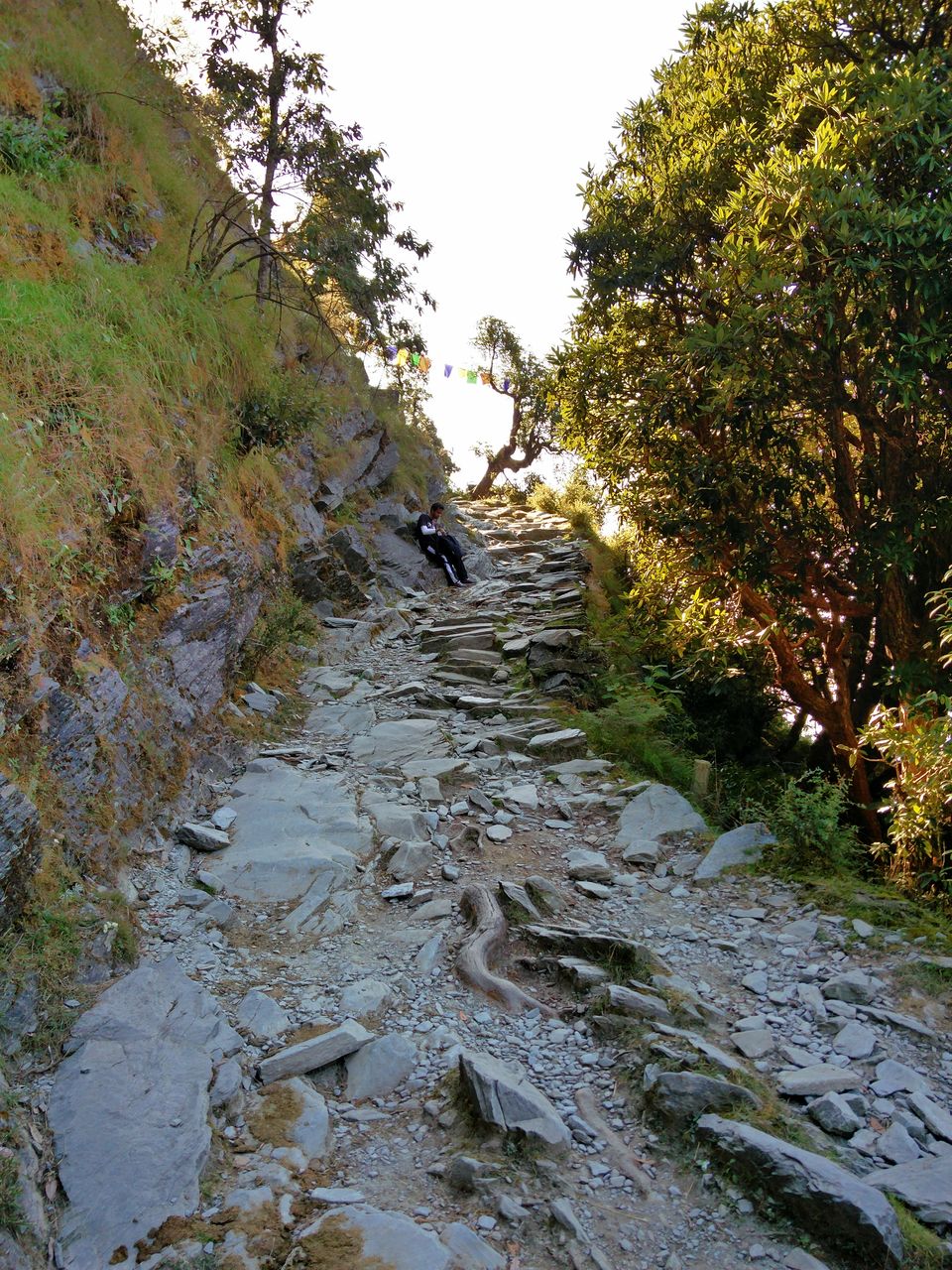 Photo of First solo trip to Dalhousie, Mcleodganj and Manali 48/103 by Vikas Singh