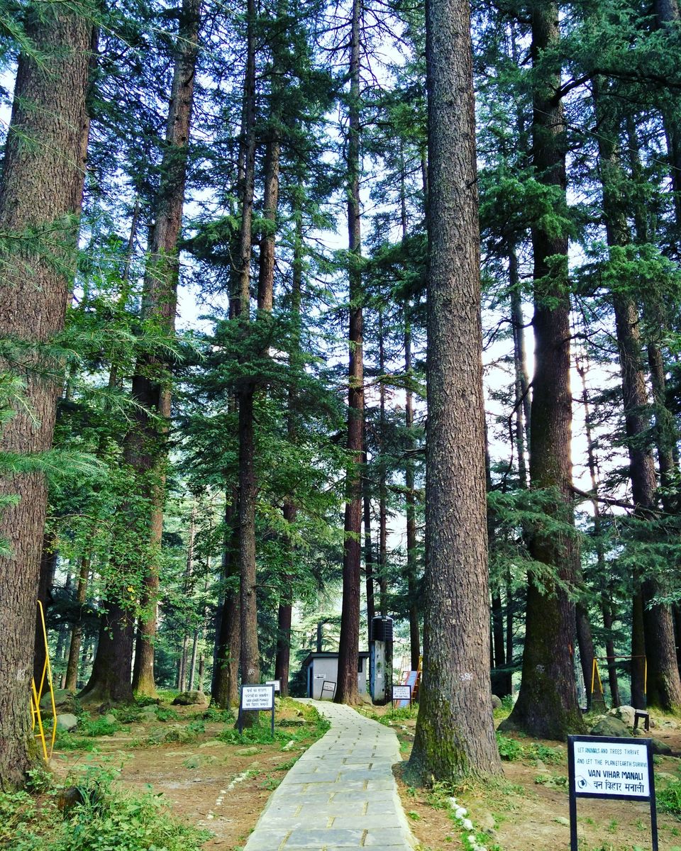 Photo of First solo trip to Dalhousie, Mcleodganj and Manali 94/103 by Vikas Singh