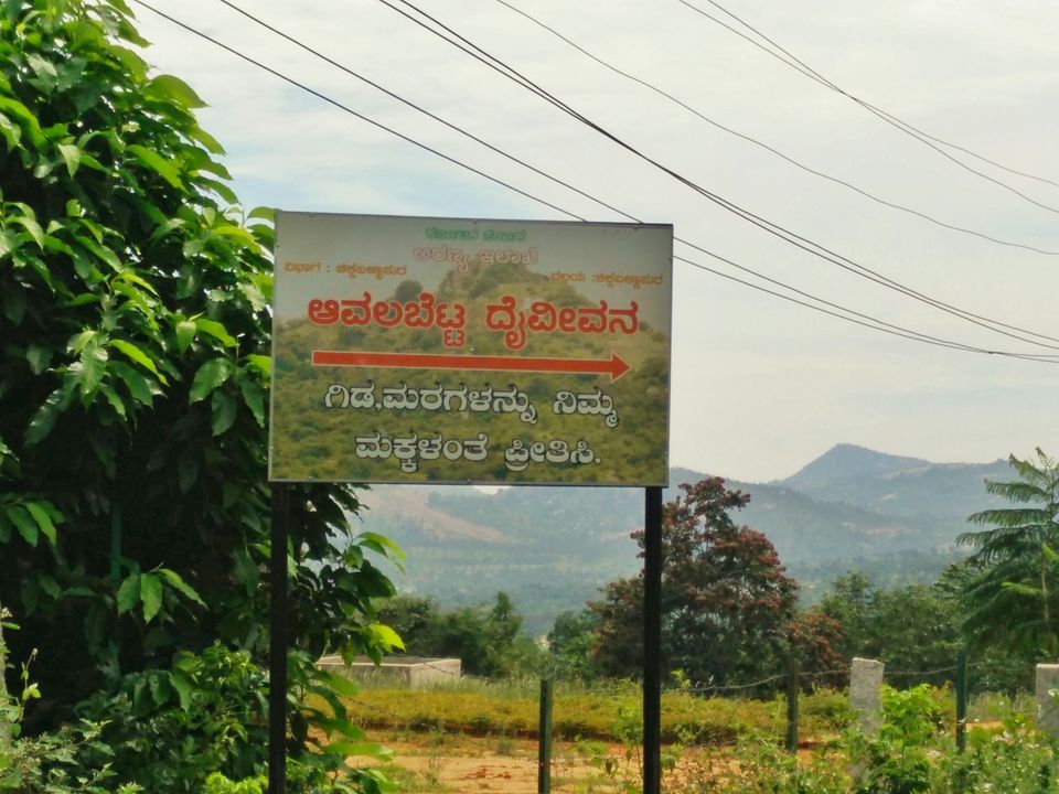 Photo of Impromptu ride to Avalabetta 6/20 by Vivek S