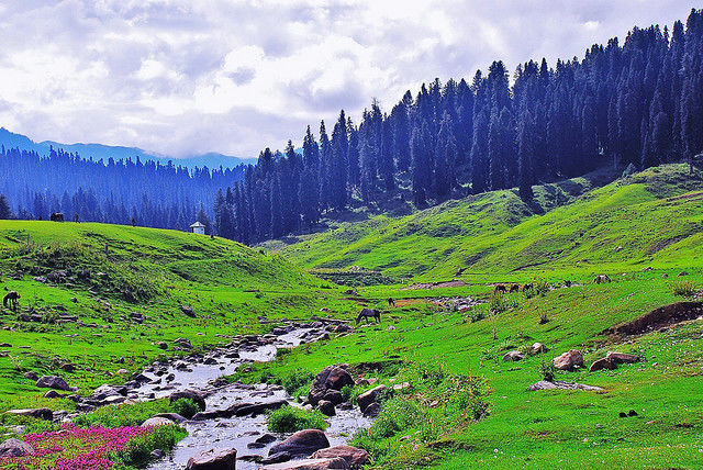 Photo of 7 Romantic Places in India For a Picture-Perfect Proposal 5/13 by Gunjan Upreti