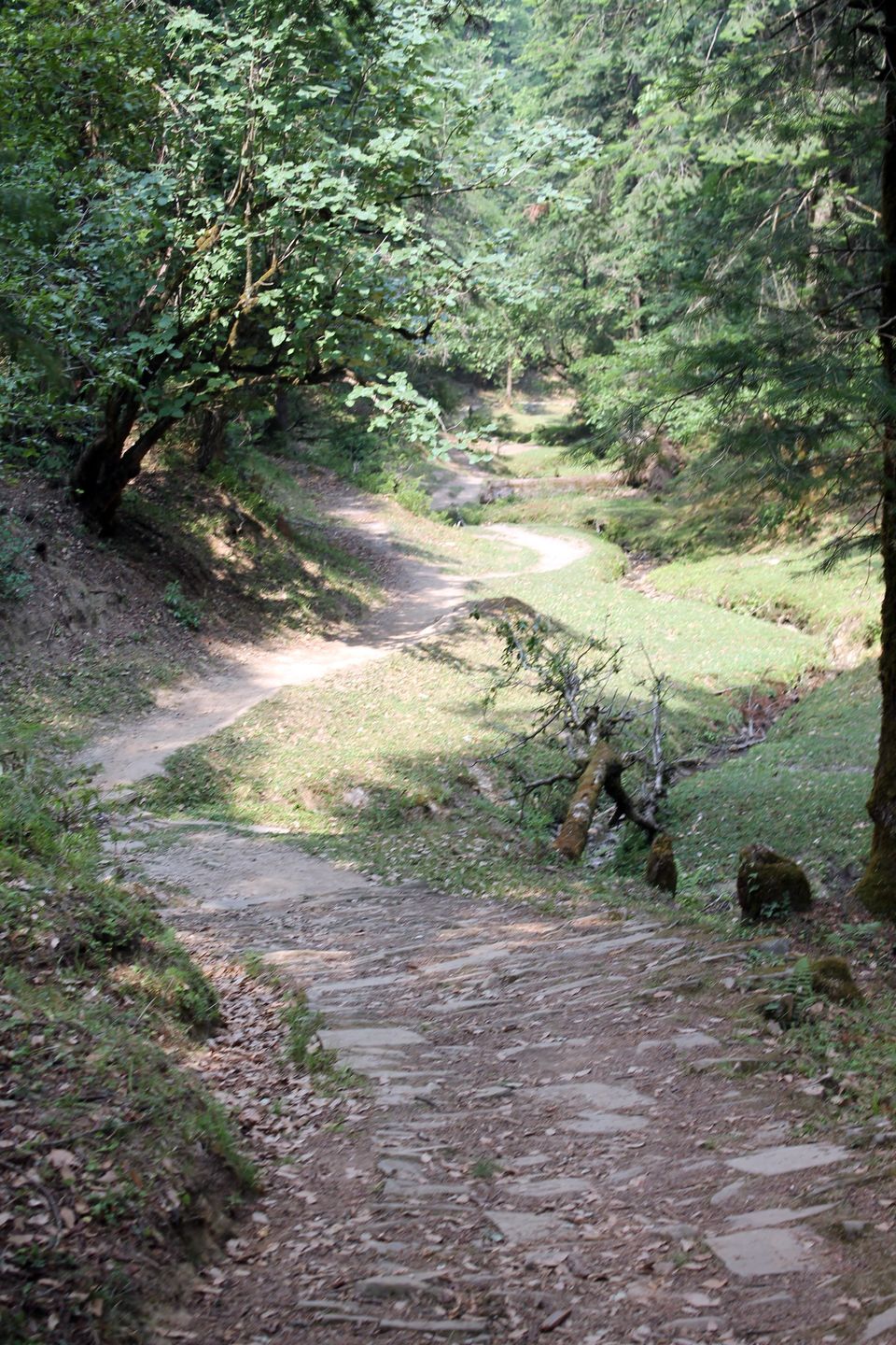 Photo of Mukteshwar – Uttrakhand | Camping – Cliff Jumping - Rappelling | Perfect friends and family weekend 10/19 by Shayaan Ahmad Noori