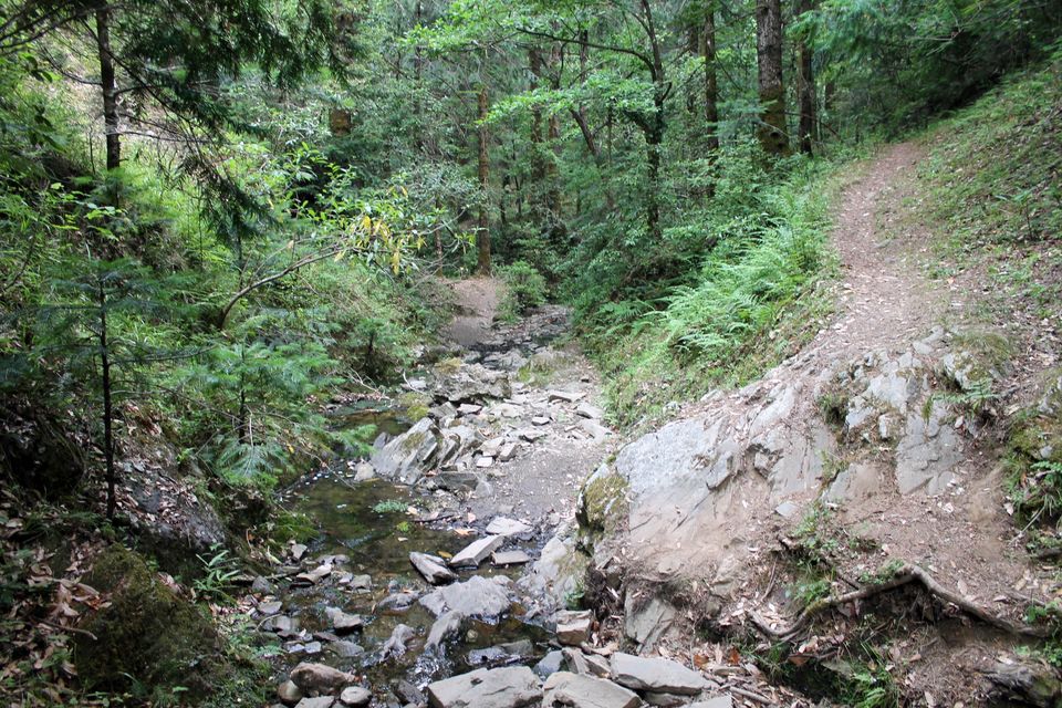 Photo of Mukteshwar – Uttrakhand | Camping – Cliff Jumping - Rappelling | Perfect friends and family weekend 11/19 by Shayaan Ahmad Noori