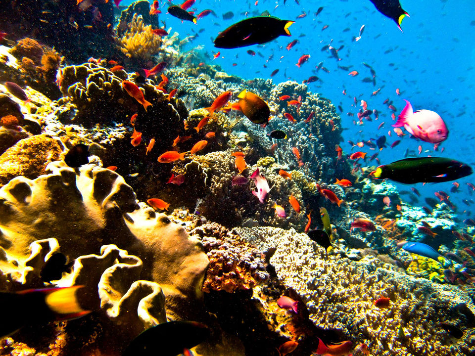 Photo of Affordable Dream Destinations That Should Be On Your Lust List 3/5 by Adyasha Dash (The Wandering Mind)