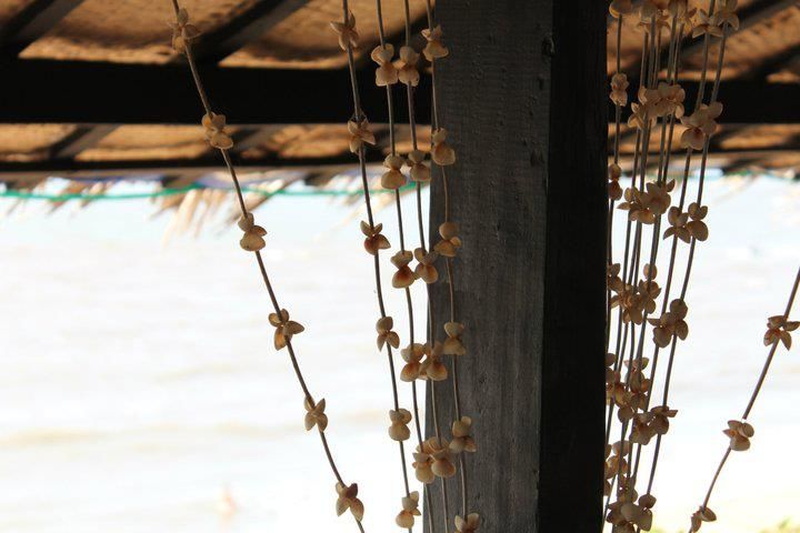Photo of Goa for the novice! 12/12 by Vibhuti Sharma