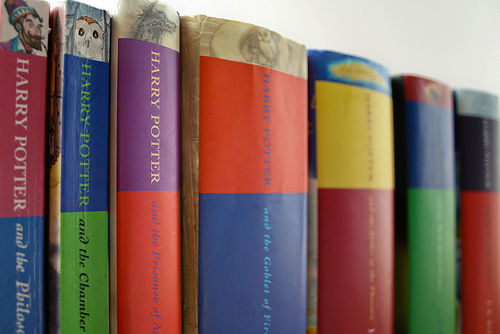 Photo of Do you love&nbsp;books?&nbsp;This is where you can live your fantasy! 2/17 by Priyam Bagga