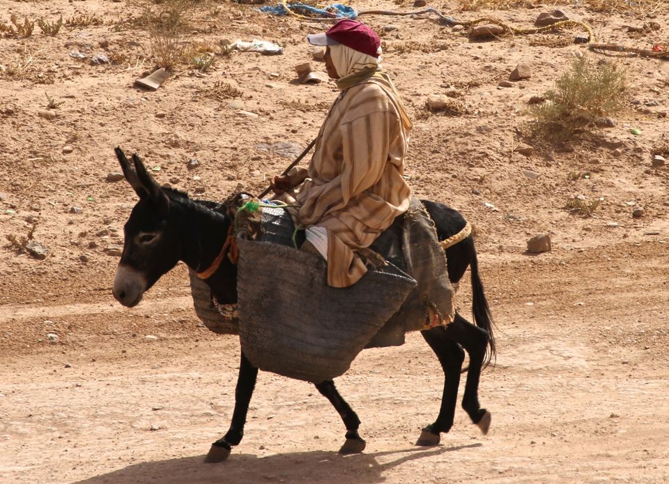 Photo of Making a Donkey of Yourself in Chefchaouen, Morocco 23/29 by Gail Palethorpe