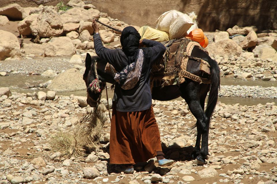 Photo of Making a Donkey of Yourself in Chefchaouen, Morocco 24/29 by Gail Palethorpe