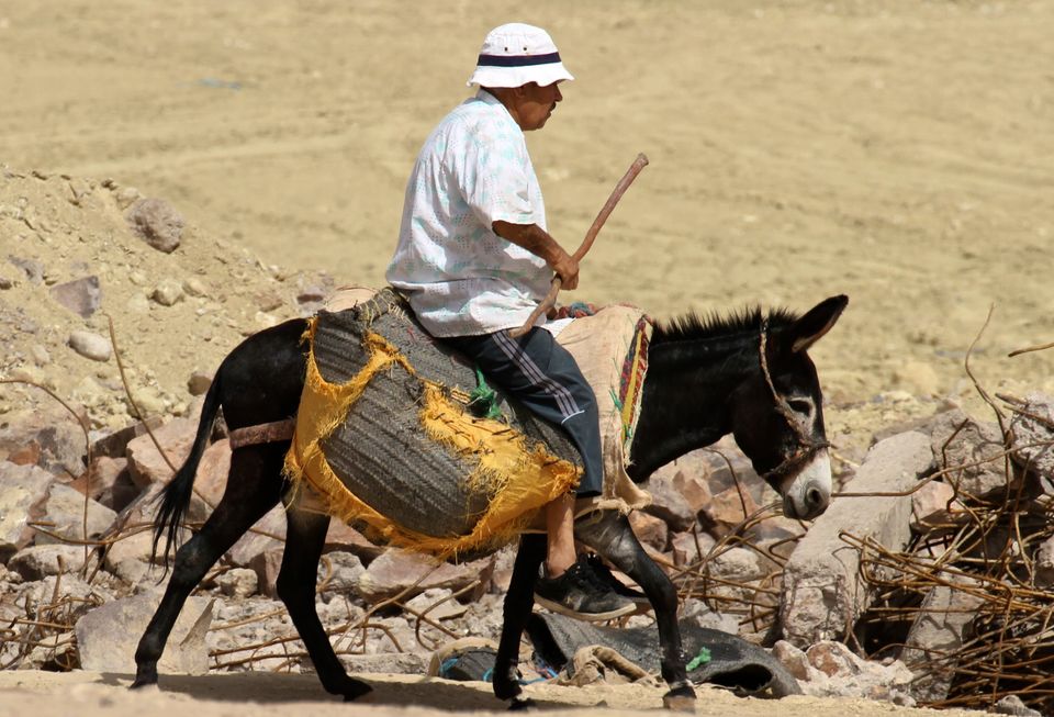Photo of Making a Donkey of Yourself in Chefchaouen, Morocco 27/29 by Gail Palethorpe