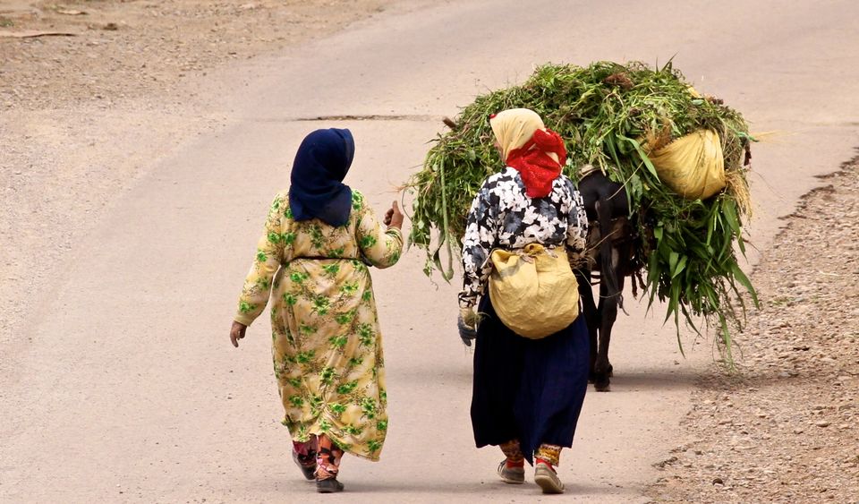 Photo of Making a Donkey of Yourself in Chefchaouen, Morocco 28/29 by Gail Palethorpe