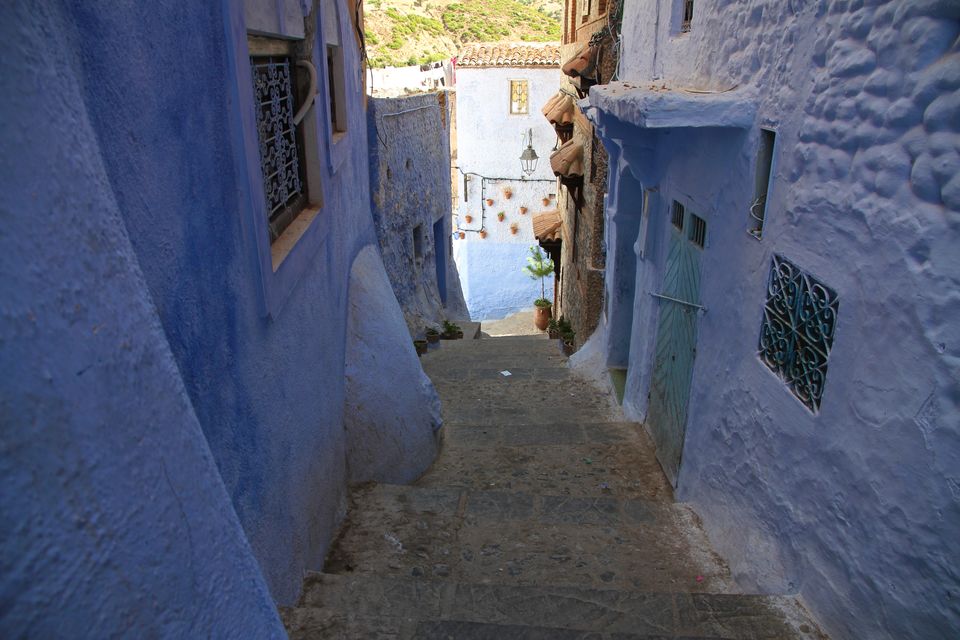 Photo of Making a Donkey of Yourself in Chefchaouen, Morocco 29/29 by Gail Palethorpe